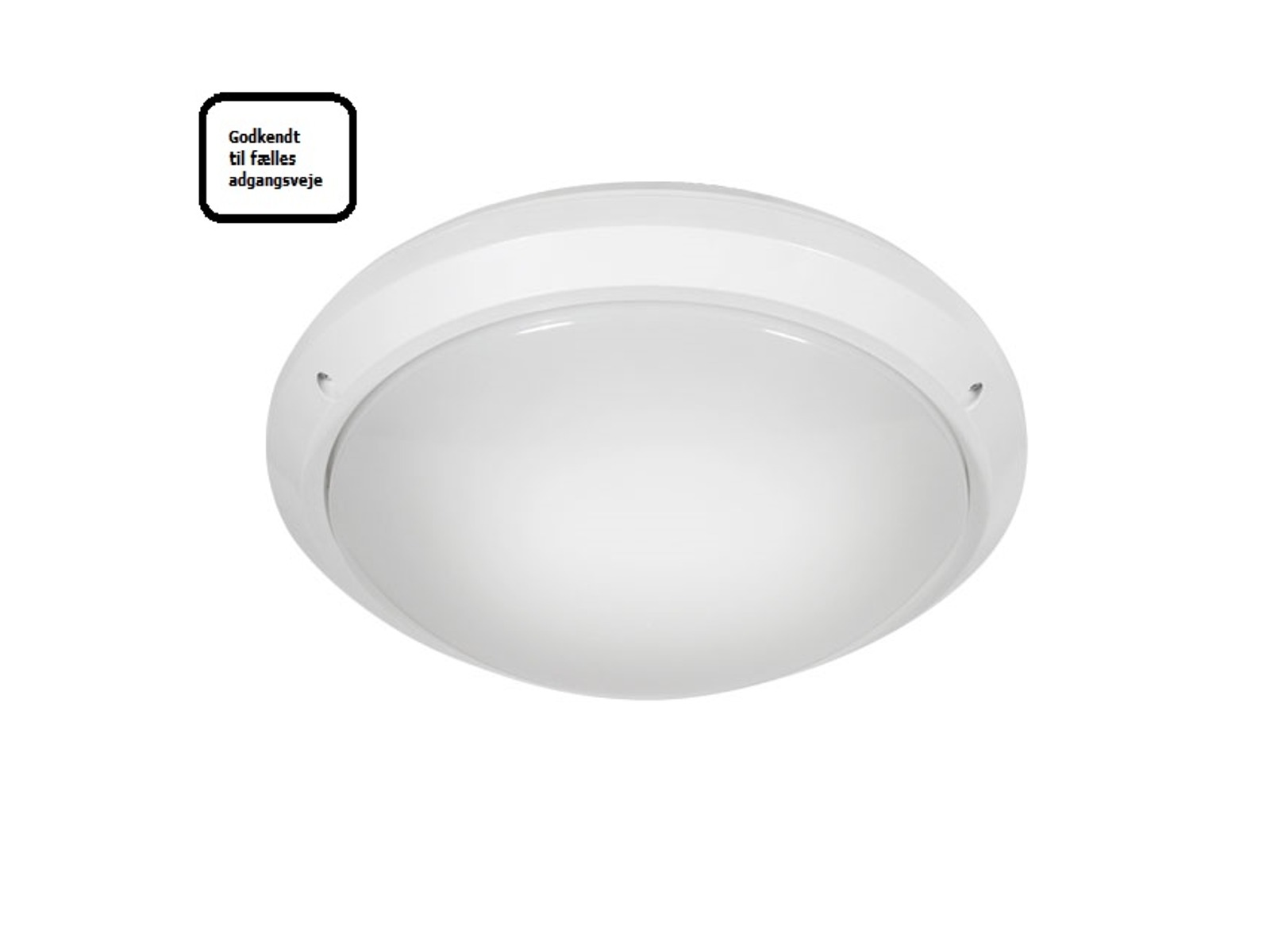 Lampe Marc DL-60